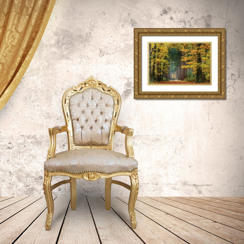 Yellow Gate Gold Ornate Wood Framed Art Print with Double Matting by Van de Goor, Lars