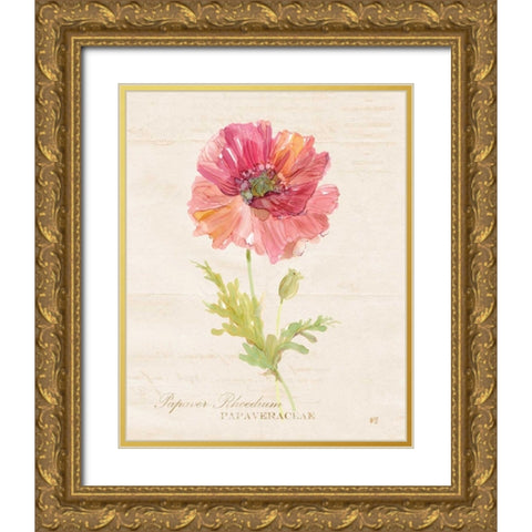 Botanical Poppy Gold Ornate Wood Framed Art Print with Double Matting by Robinson, Carol