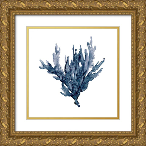 Sea Coral I Gold Ornate Wood Framed Art Print with Double Matting by Robinson, Carol