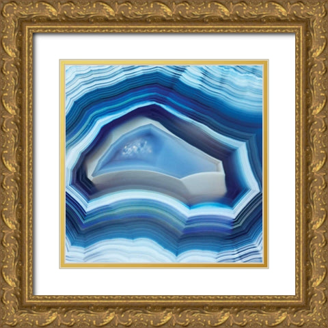 Quartzsite Gold Ornate Wood Framed Art Print with Double Matting by Delimont, Danita