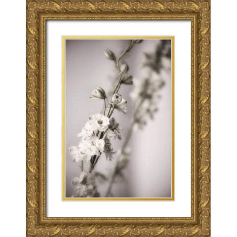 Jardin dArgent I Gold Ornate Wood Framed Art Print with Double Matting by Delimont, Danita