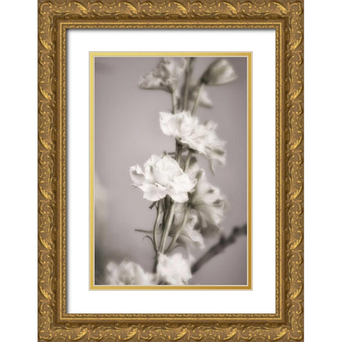 Jardin dArgent II Gold Ornate Wood Framed Art Print with Double Matting by Delimont, Danita