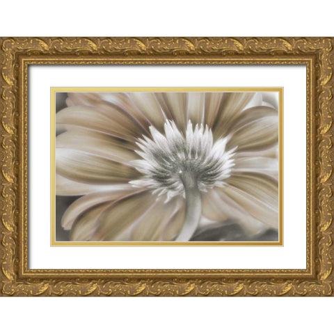 Dreamin Gold Ornate Wood Framed Art Print with Double Matting by Weisz, Irene