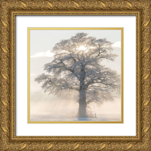 Winter King Gold Ornate Wood Framed Art Print with Double Matting by Van de Goor, Lars