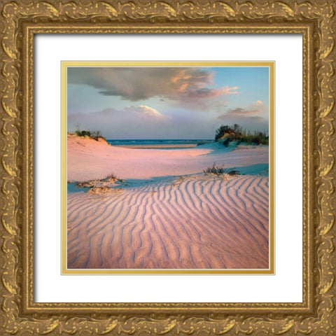 Little Talbot Gold Ornate Wood Framed Art Print with Double Matting by Delimont, Danita