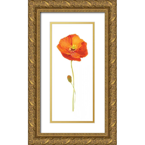 Poppy Pop II Gold Ornate Wood Framed Art Print with Double Matting by Nan