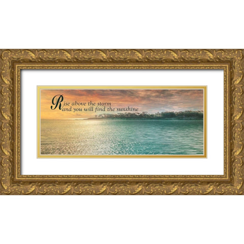 Rise Above Gold Ornate Wood Framed Art Print with Double Matting by Calascibetta, Mike