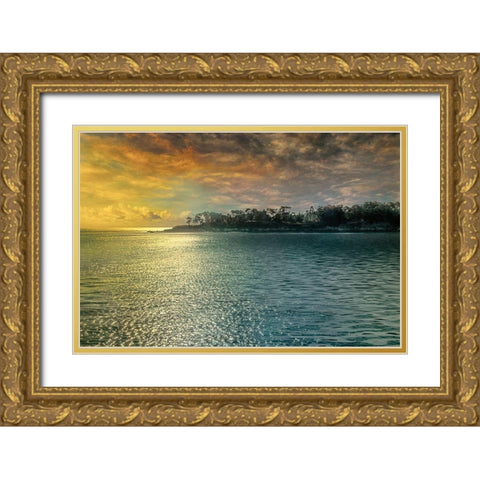 Mystic Island Gold Ornate Wood Framed Art Print with Double Matting by Calascibetta, Mike