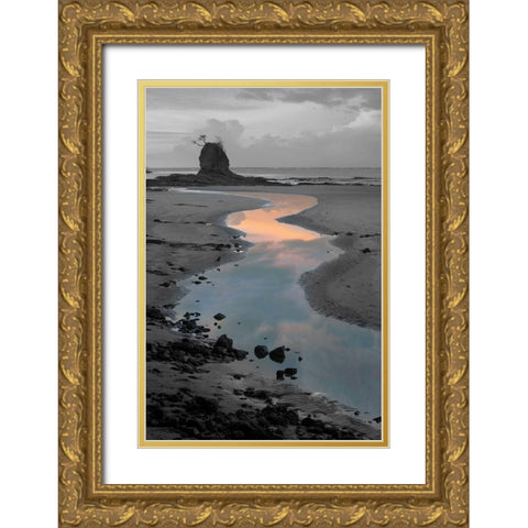 Playa Carrillo Gold Ornate Wood Framed Art Print with Double Matting by Delimont, Danita