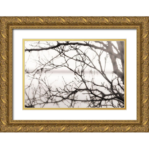 After the Rain Gold Ornate Wood Framed Art Print with Double Matting by Delimont, Danita