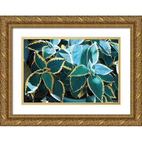 Tropical Leaves Gold Ornate Wood Framed Art Print with Double Matting by Nan