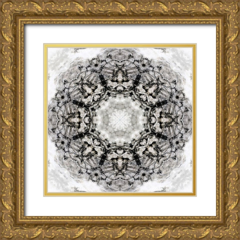 Black White Kaleidoscope Gold Ornate Wood Framed Art Print with Double Matting by Nan
