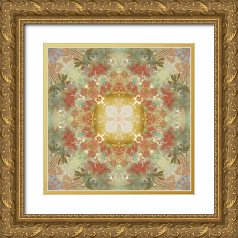 Kaleidoscope Floral Gold Gold Ornate Wood Framed Art Print with Double Matting by Nan
