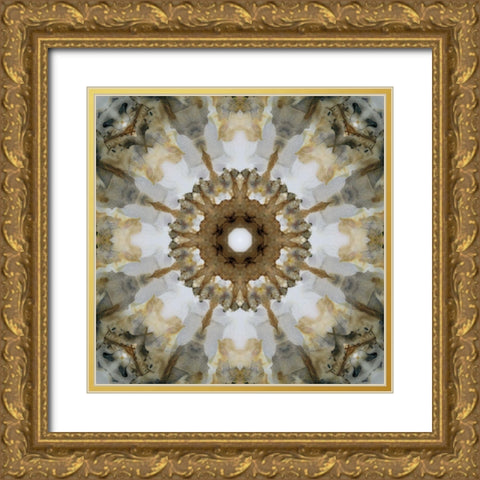 Kaleidoscope Honey Gray Gold Ornate Wood Framed Art Print with Double Matting by Nan