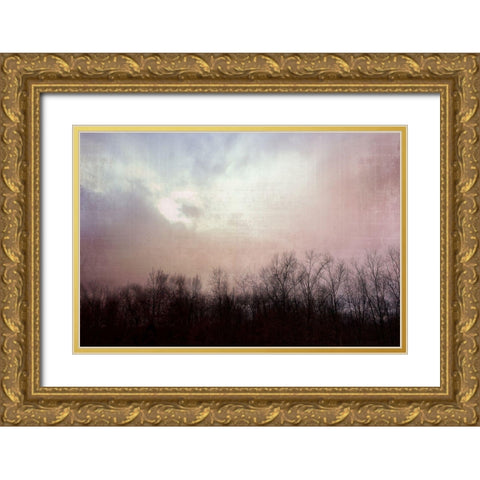 Soft Sky Gold Ornate Wood Framed Art Print with Double Matting by Nan