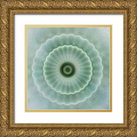 Kaleidoscope Succulent I Gold Ornate Wood Framed Art Print with Double Matting by Weisz, Irene