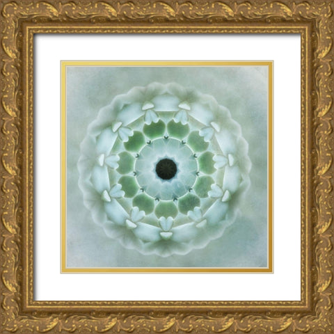 Kaleidoscope Succulent II Gold Ornate Wood Framed Art Print with Double Matting by Weisz, Irene