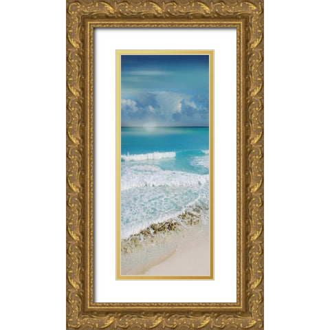 Simply Caribbean I Gold Ornate Wood Framed Art Print with Double Matting by Nan