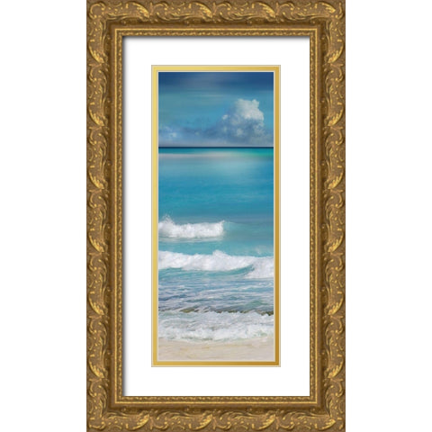 Simply Caribbean II Gold Ornate Wood Framed Art Print with Double Matting by Nan
