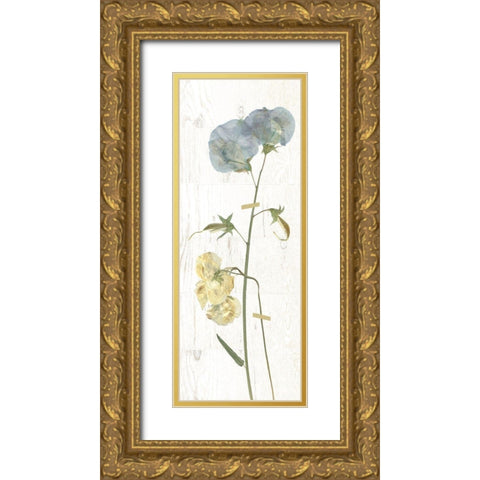 Pressed Sweetpea I Gold Ornate Wood Framed Art Print with Double Matting by Robinson, Carol