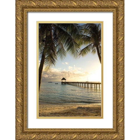 Pier and Palm Gold Ornate Wood Framed Art Print with Double Matting by Delimont, Danita