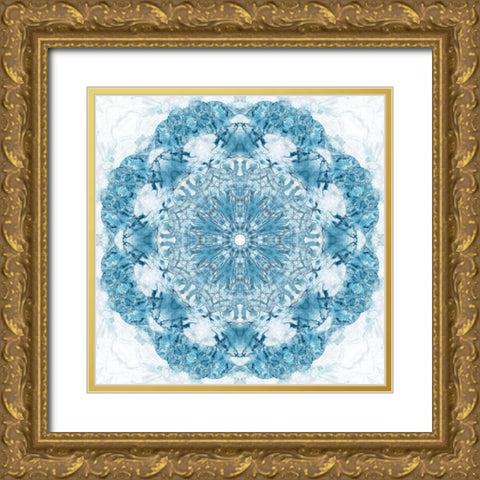 Kaleidoscope Wing Gold Ornate Wood Framed Art Print with Double Matting by Nan