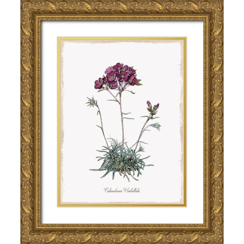 Botanical Gold Ornate Wood Framed Art Print with Double Matting by Donovan, Kelly