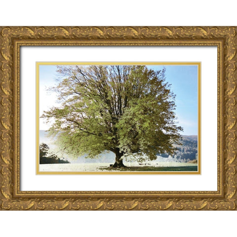 Season of Summer Gold Ornate Wood Framed Art Print with Double Matting by Weisz, Irene