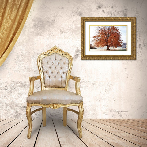 Season of Fall Gold Ornate Wood Framed Art Print with Double Matting by Weisz, Irene