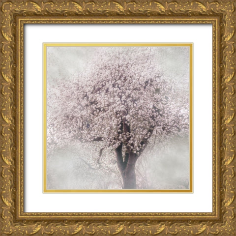 Blossoms of Spring III Gold Ornate Wood Framed Art Print with Double Matting by Weisz, Irene