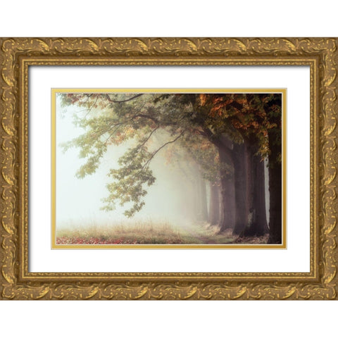 Dawnscratchers Gold Ornate Wood Framed Art Print with Double Matting by Van de Goor, Lars