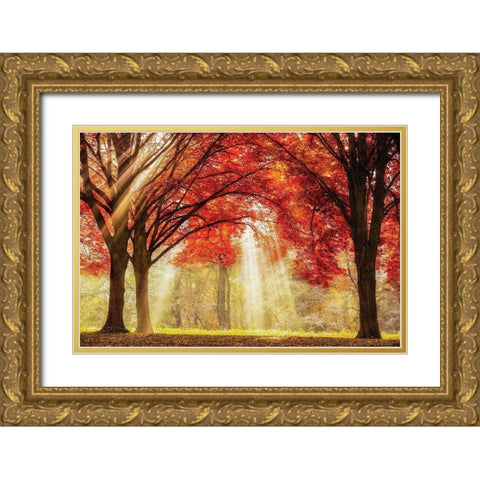 Everland Gold Ornate Wood Framed Art Print with Double Matting by Van de Goor, Lars