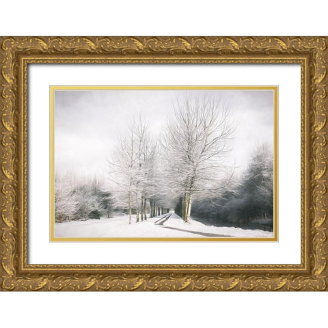 Winter is Here Gold Ornate Wood Framed Art Print with Double Matting by Van de Goor, Lars