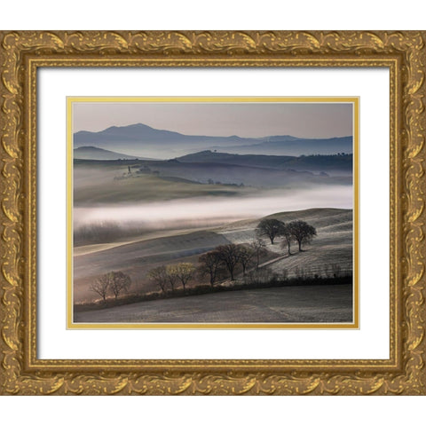 Frosty Dawn Gold Ornate Wood Framed Art Print with Double Matting by Delimont, Danita