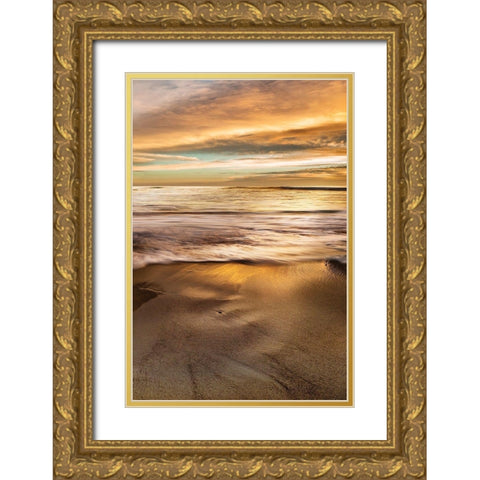 Windansea Gold Ornate Wood Framed Art Print with Double Matting by Delimont, Danita