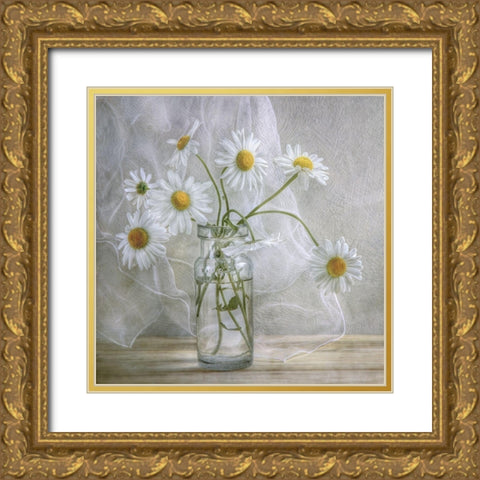 Daisies Gold Ornate Wood Framed Art Print with Double Matting by Disher, Mandy