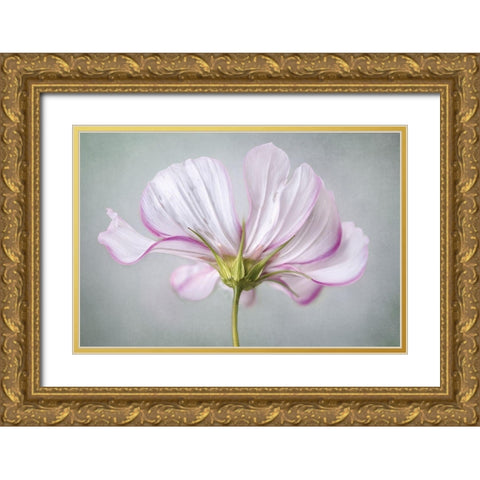 Textured Floral Gold Ornate Wood Framed Art Print with Double Matting by Disher, Mandy