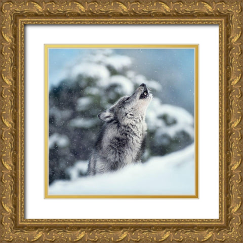 Winter Howl Gold Ornate Wood Framed Art Print with Double Matting by Delimont, Danita