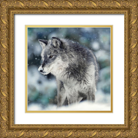 Winter Watch Gold Ornate Wood Framed Art Print with Double Matting by Delimont, Danita