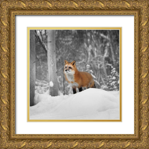 Snowy Sentinel Gold Ornate Wood Framed Art Print with Double Matting by Delimont, Danita