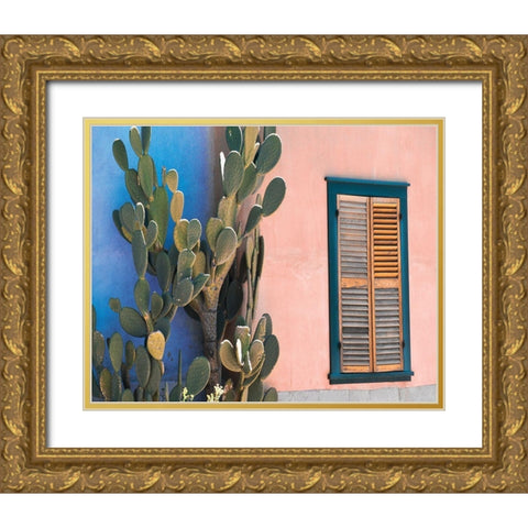 Cactus Profile Gold Ornate Wood Framed Art Print with Double Matting by Delimont, Danita