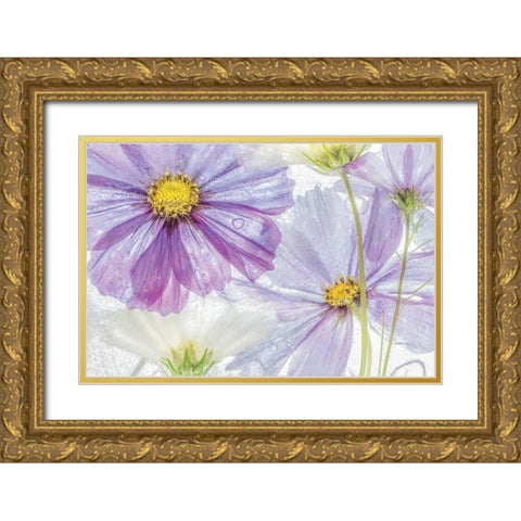 Frozen Floral II Gold Ornate Wood Framed Art Print with Double Matting by Disher, Mandy