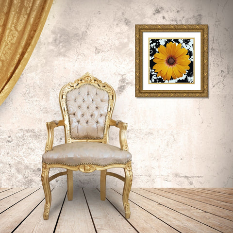 Black and Bloom Gold Ornate Wood Framed Art Print with Double Matting by Burghardt, James