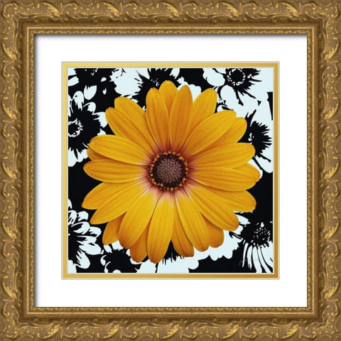 Black and Bloom Gold Ornate Wood Framed Art Print with Double Matting by Burghardt, James