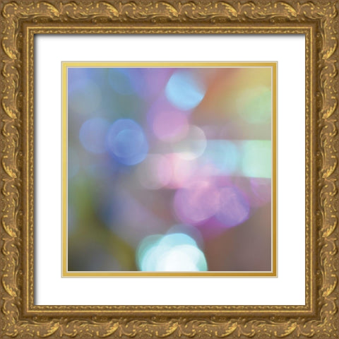 Light Efffects I Gold Ornate Wood Framed Art Print with Double Matting by Delimont, Danita