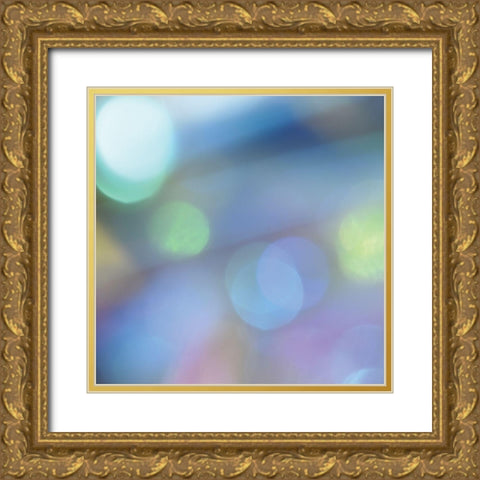 Light Effects II Gold Ornate Wood Framed Art Print with Double Matting by Delimont, Danita