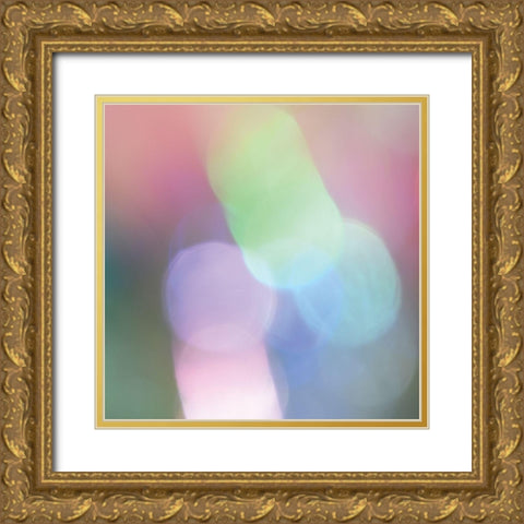 Light Effects III Gold Ornate Wood Framed Art Print with Double Matting by Delimont, Danita