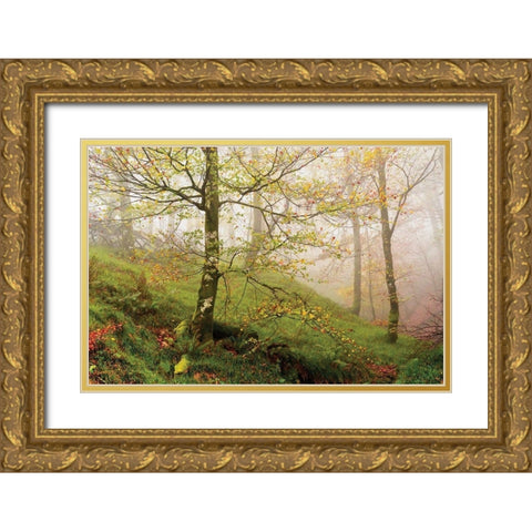Spring Or Gold Ornate Wood Framed Art Print with Double Matting by Van de Goor, Lars
