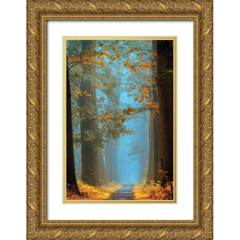 Orange Blue Gold Ornate Wood Framed Art Print with Double Matting by Van de Goor, Lars