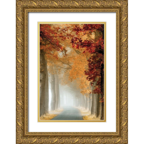 Wonder Curve Gold Ornate Wood Framed Art Print with Double Matting by Van de Goor, Lars